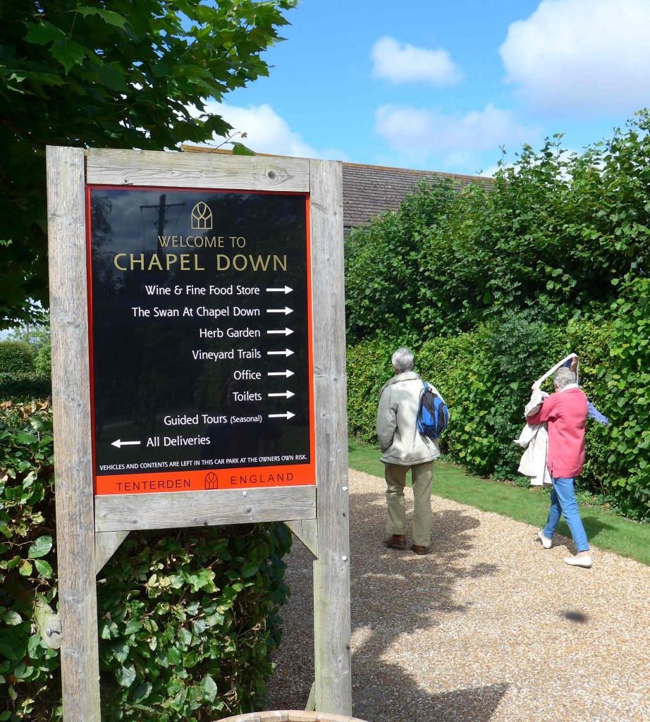 De wijnmakerij van Chapel Down / foto S.G.