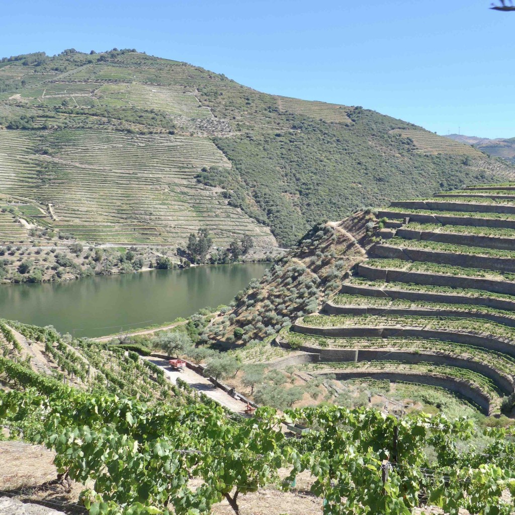 Wijnterrassen langs de Portugese Douro / foto S.G.