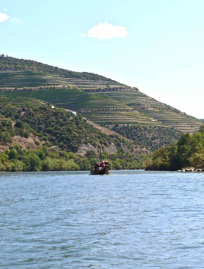 Wijngaarden langs de Douro (foto Stéphane Godfroid)