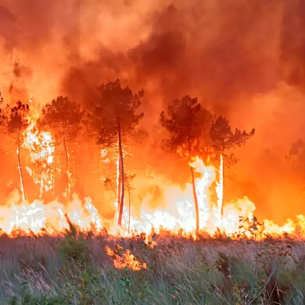 De Gironde werd getroffen door zware bosbranden.