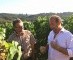 Toscaanse Frescobaldi verwerft het wijnlandgoed Poggio Verrano
