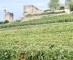 Hof van beroep Bordeaux bevestigt klassement 2012 van Saint-Emilion
