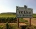 Bourgogne twist over nieuwe Côte d’Or-appellatie