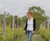 Touriga, agiorgitiko en zo… in Bordeaux