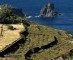 Traditionele Italiaanse wijnbouwmethode op UNESCO Werelderfgoedlijst