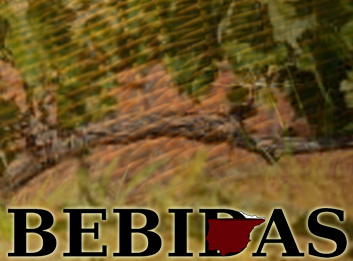 Bebidas