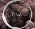 ONA