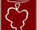 WineMaker Domein De Kluizen
