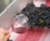 WineClub Pure Wine Lovers