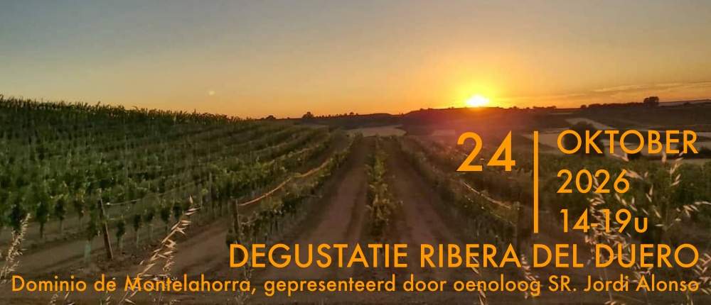 DEGUSTATIE RIBERA DEL DUERO  – Dominio de Montelahorra