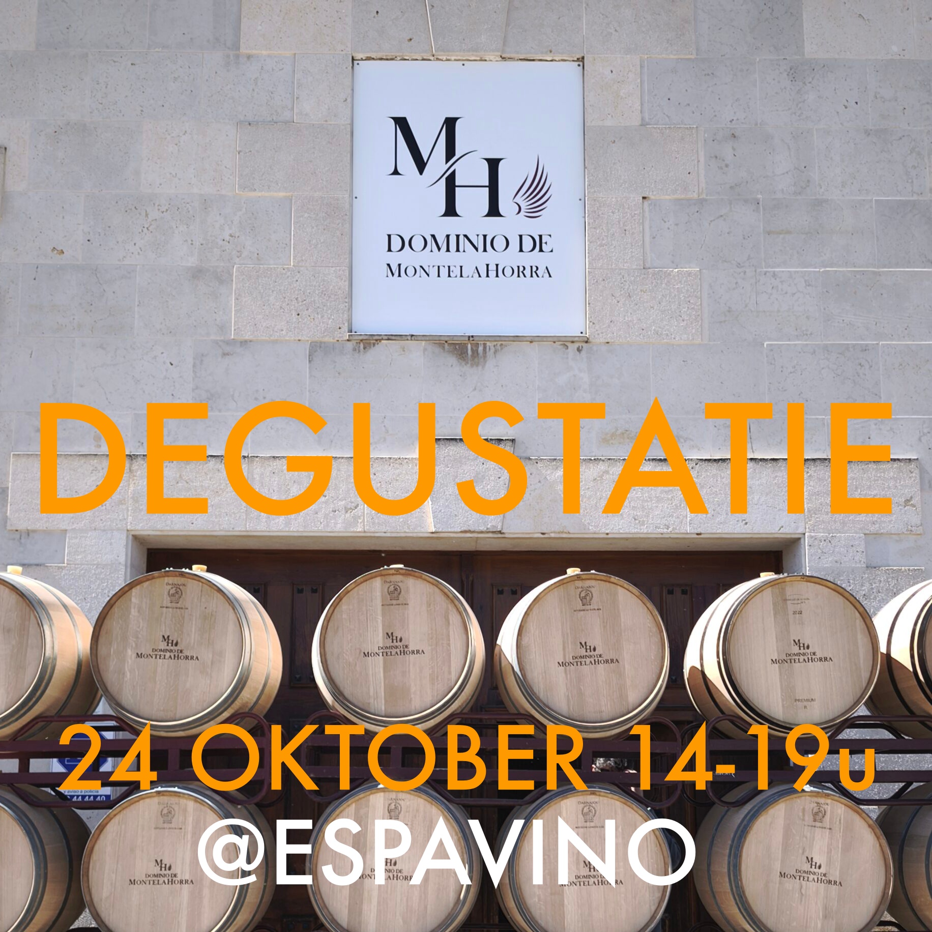 DEGUSTATIE RIBERA DEL DUERO  – Dominio de Montelahorra